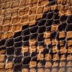 swatch_tobacco snake slingback pump heels