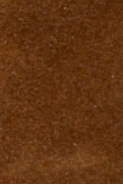swatch_Tobacco Suede l'idea classic riding boot
