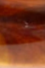 swatch_Tortoise lucas jack resin and tiger eye statement ring