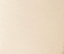 swatch_Vanilla Tony bianco gatsby loafer flat shoes