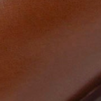 swatch_whiskey leather ankle boot