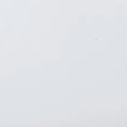 swatch_white cody sneaker shoes