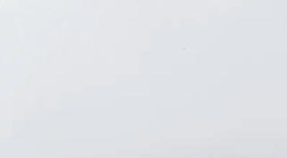 swatch_white cody sneaker shoes