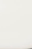 swatch_White Leather tony bianco baz slingback heel