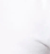 swatch_white bari sweatshort apparel