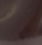 swatch_Wine leather lug sole mary jane