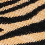 swatch_Zebra steve madden seleste wedge sandal