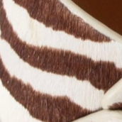 swatch_Zebra Mix 4ccccees plia juno platform sandal