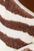 swatch_Zebra Mix 4ccccees plia juno platform sandal