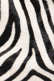 swatch_Zebra german fuentes calfhair crossbody bag