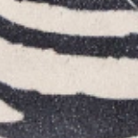 swatch_Zebra oncept fez sneaker