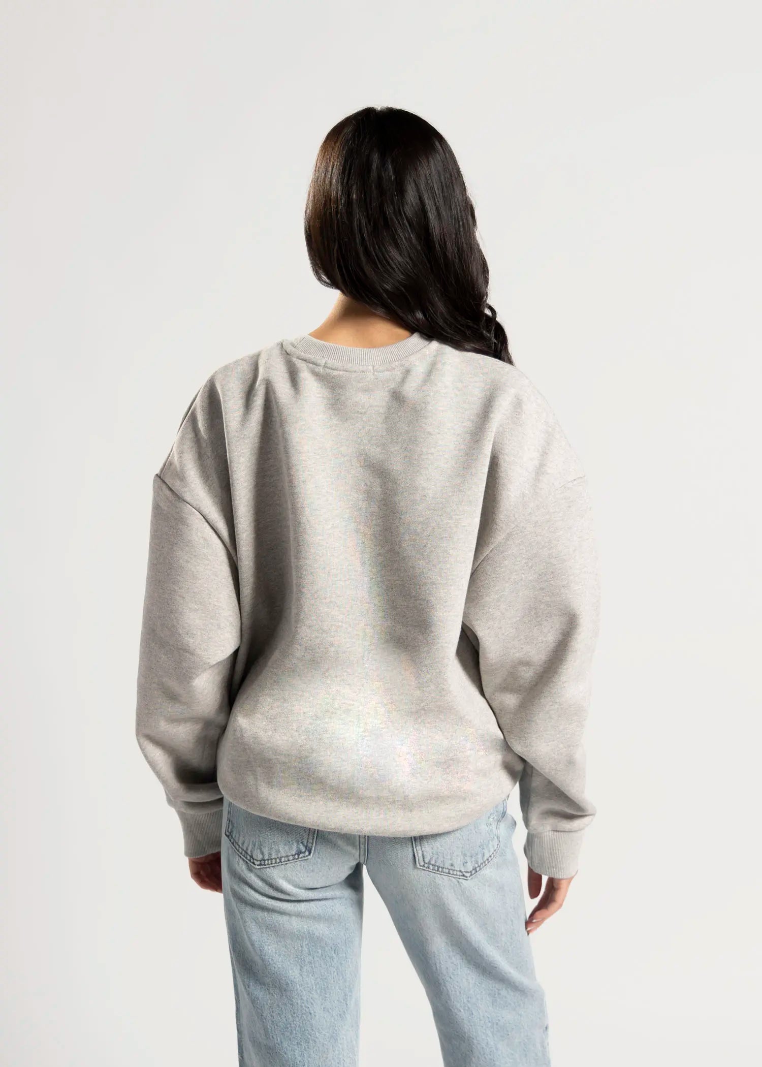 swatch_grey/red collegiate sweatshirt apparel