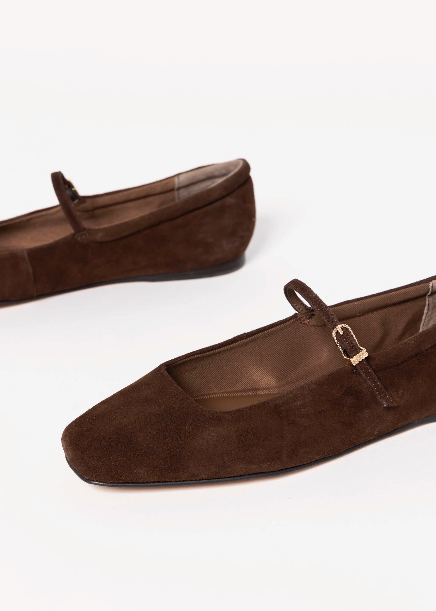 swatch_Dark Brown Suede dolce vita reyes ballet flat