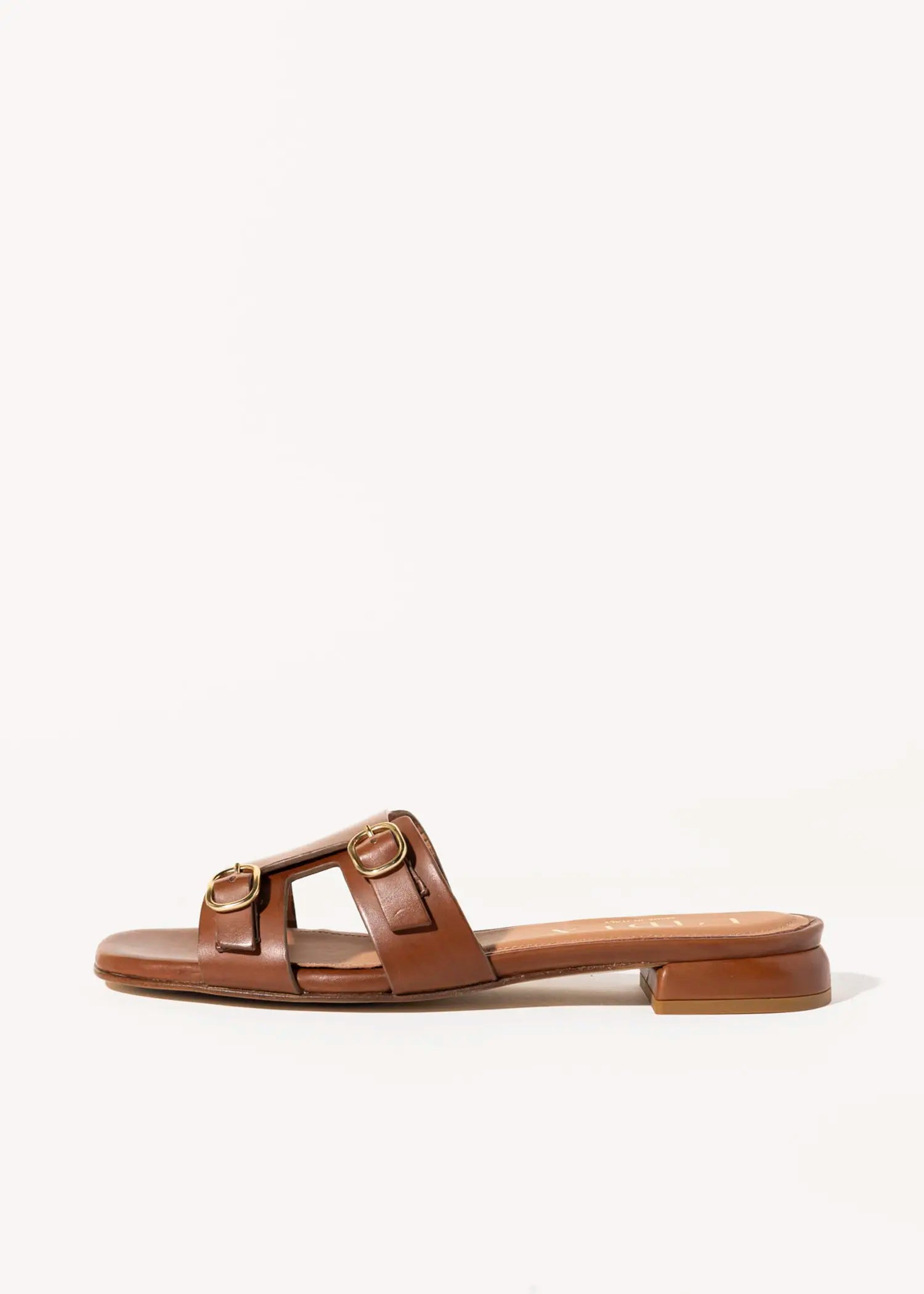 swatch_brown leather monk strap sandal flat sandals