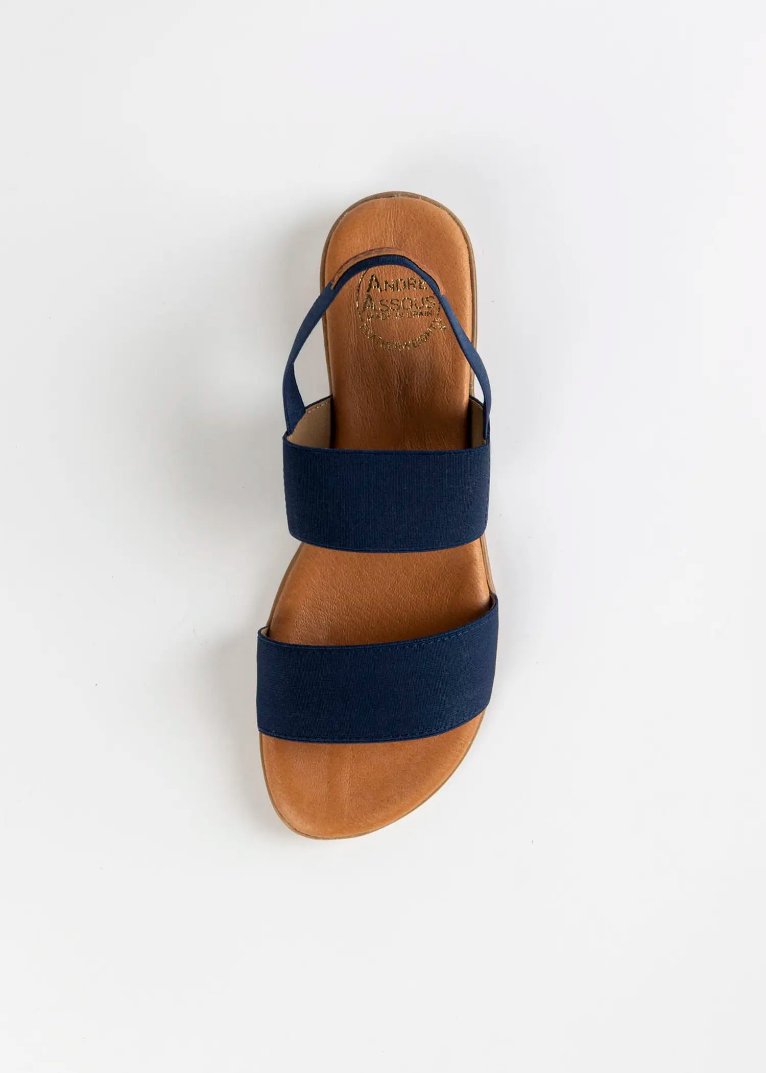 swatch_navy nigella sandal flat sandals