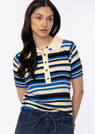 swatch_Blue Multi striped knit polo