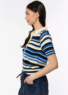 swatch_Blue Multi striped knit polo