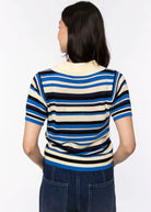 swatch_Blue Multi striped knit polo