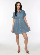 swatch_Lake heartloom kelton denim dress