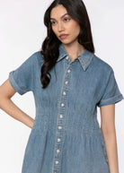 swatch_Lake heartloom kelton denim dress