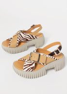swatch_Zebra Mix 4ccccees plia juno platform sandal