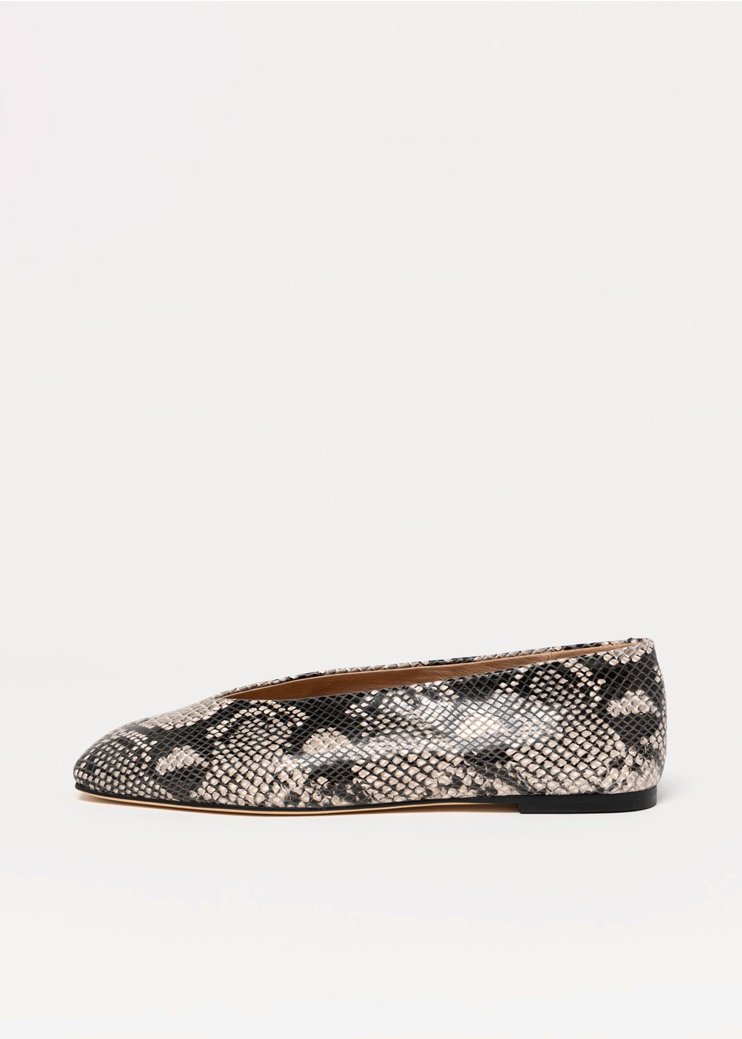 swatch_Ecru Snake Tony bianco brash flat
