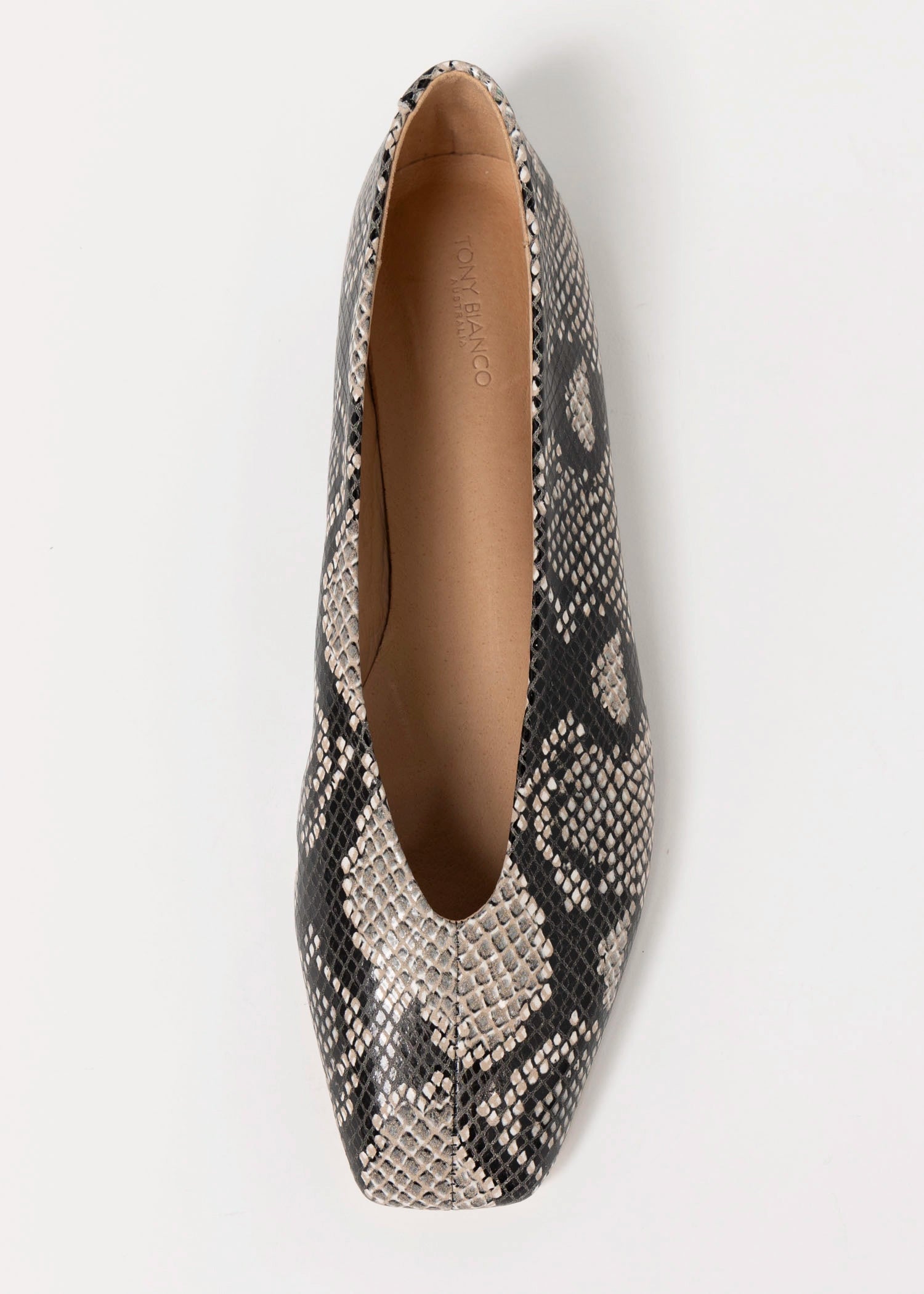 swatch_Ecru Snake Tony bianco brash flat