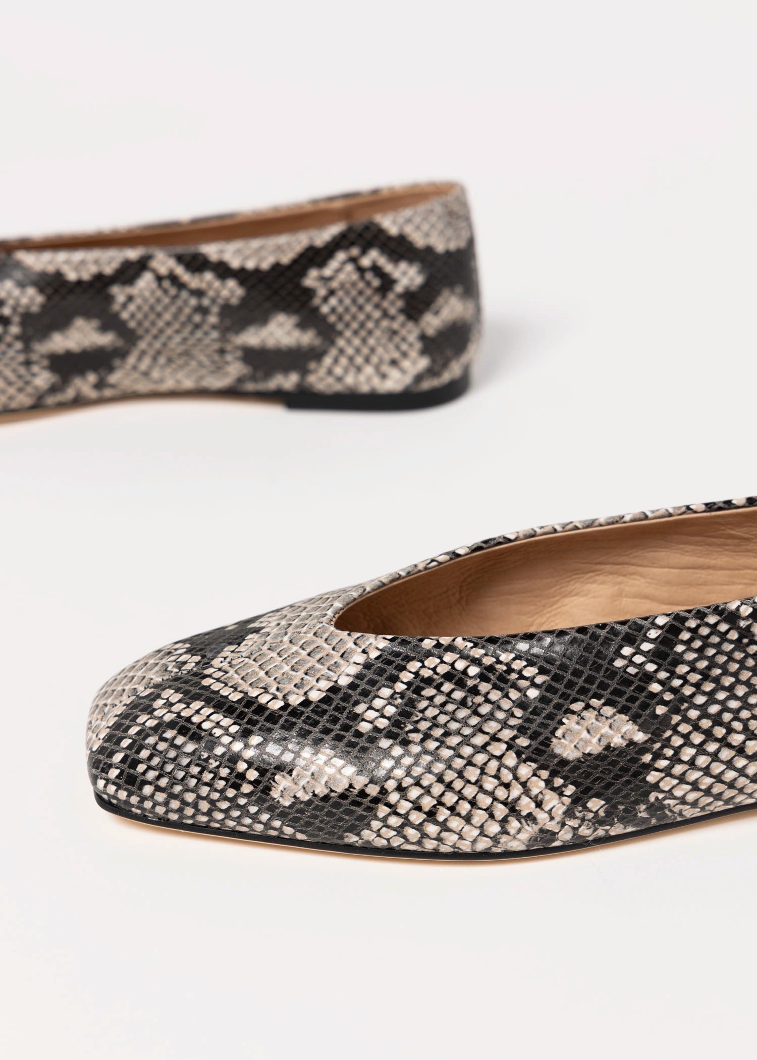 swatch_Ecru Snake Tony bianco brash flat