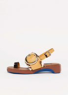swatch_Zebra Mix 4CCCCees follin torus sandal