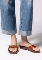 swatch_Brown Melissa pescura jelly sandal