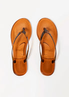 swatch_Tortoise jolie jelly thong sandal