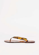swatch_Tortoise jolie jelly thong sandal