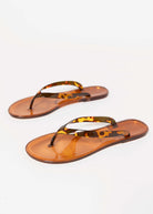 swatch_Tortoise jolie jelly thong sandal