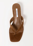 swatch_Chestnut Suede steve madden tracie thong sandal