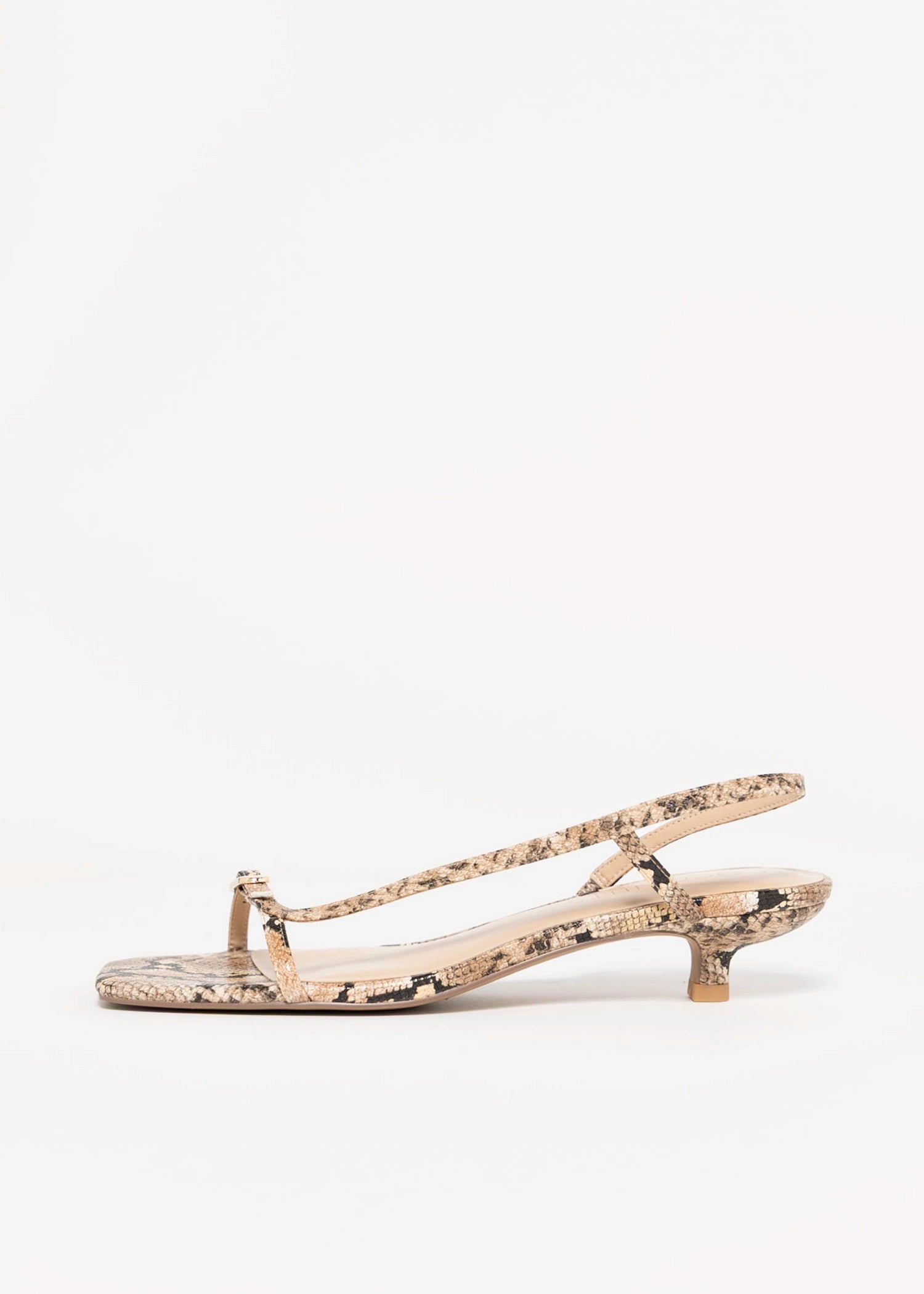swatch_Tan Snake coconuts fernando kitten heel sandal