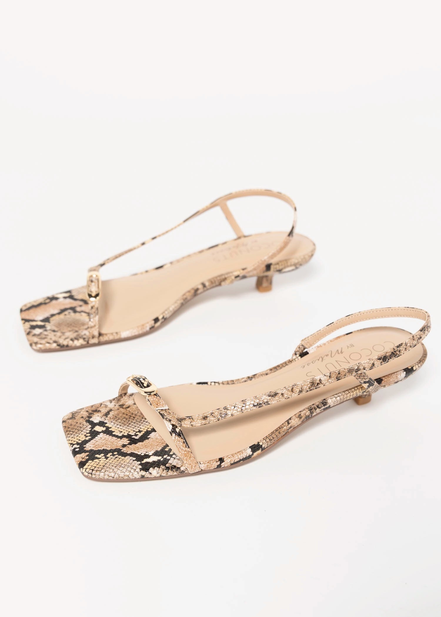 swatch_Tan Snake coconuts fernando kitten heel sandal