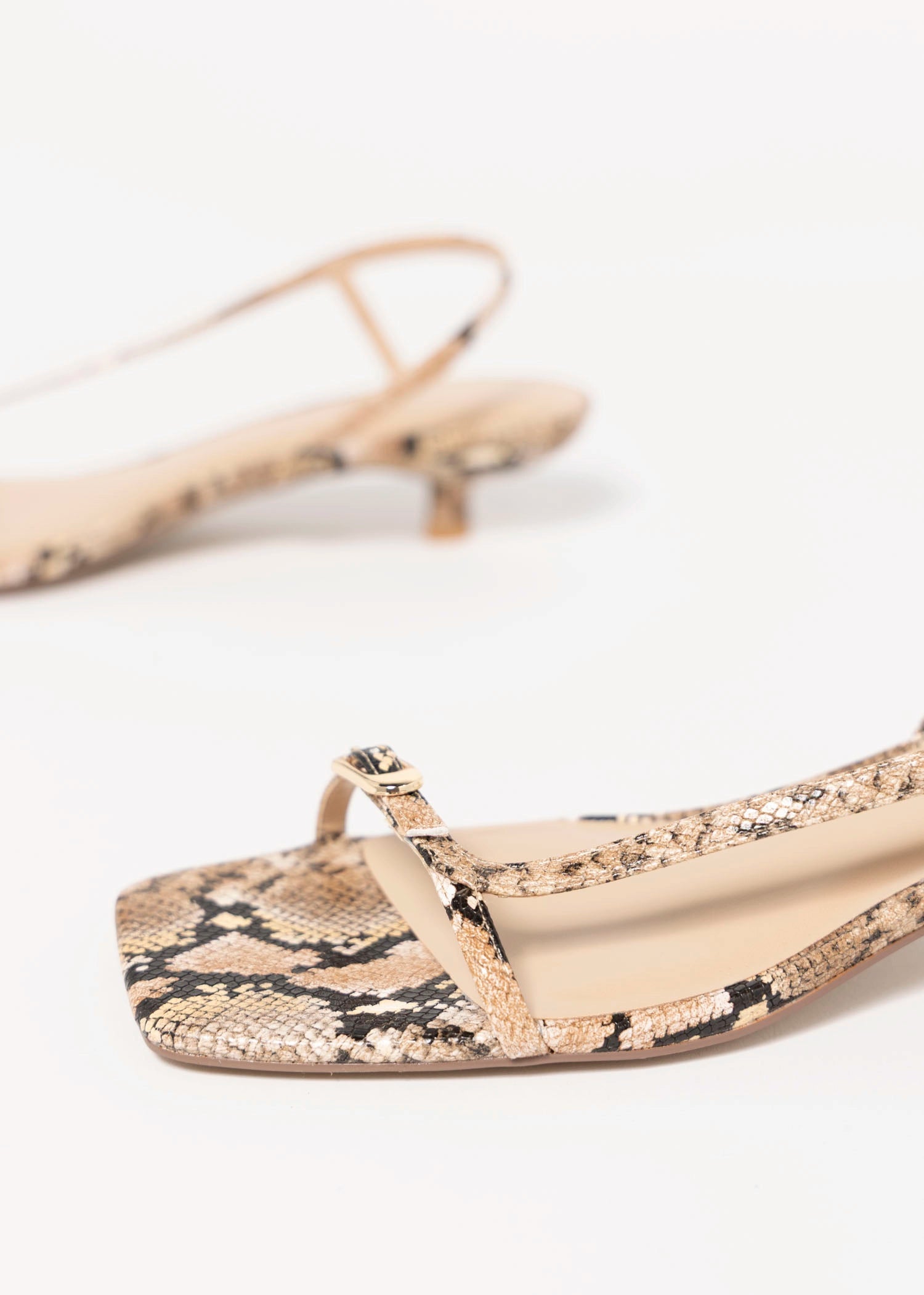 swatch_Tan Snake coconuts fernando kitten heel sandal