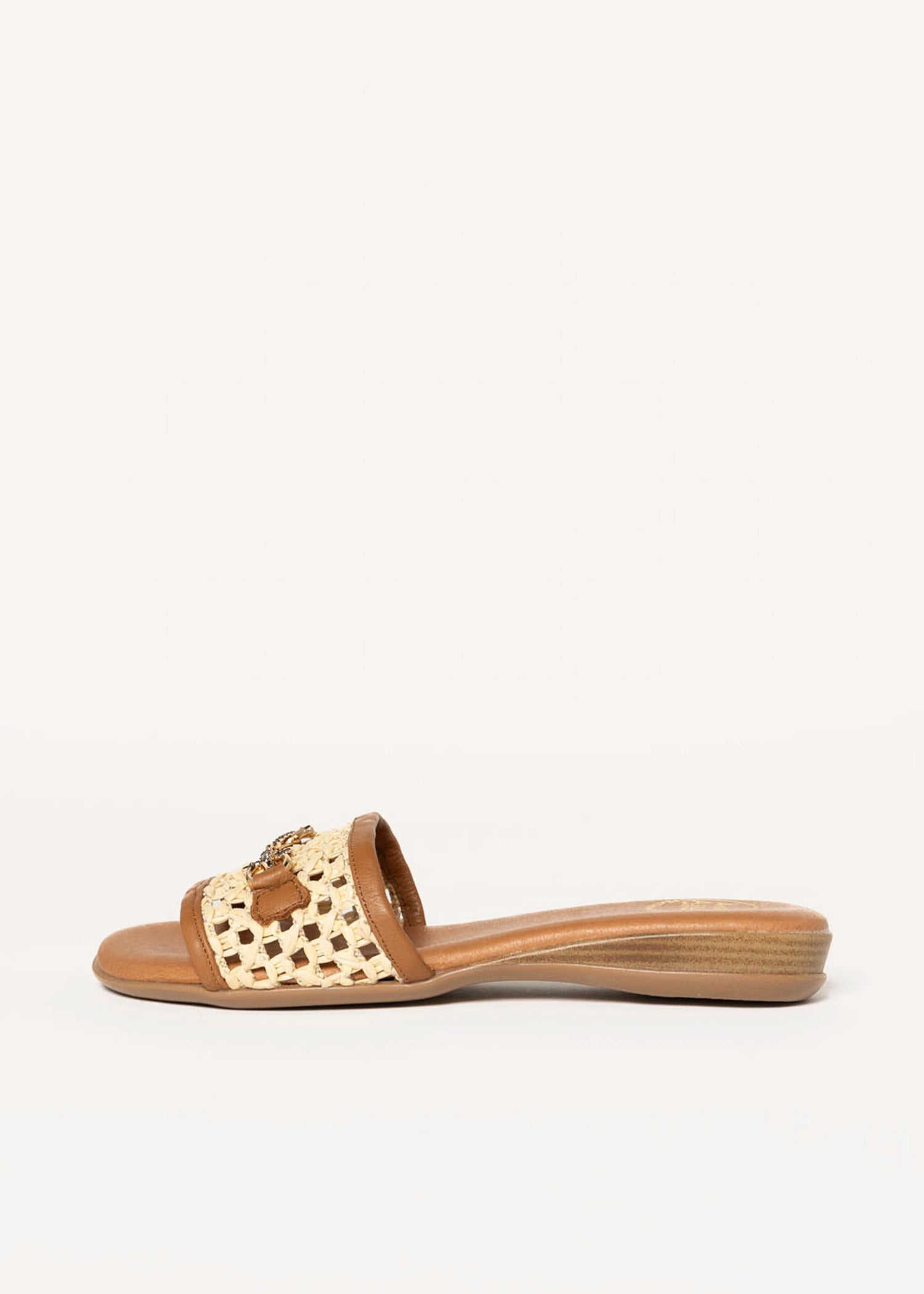 swatch_Natural andre assous niles sandal