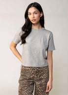 swatch_Heather Grey stitches and stripes otis knit short sleeve