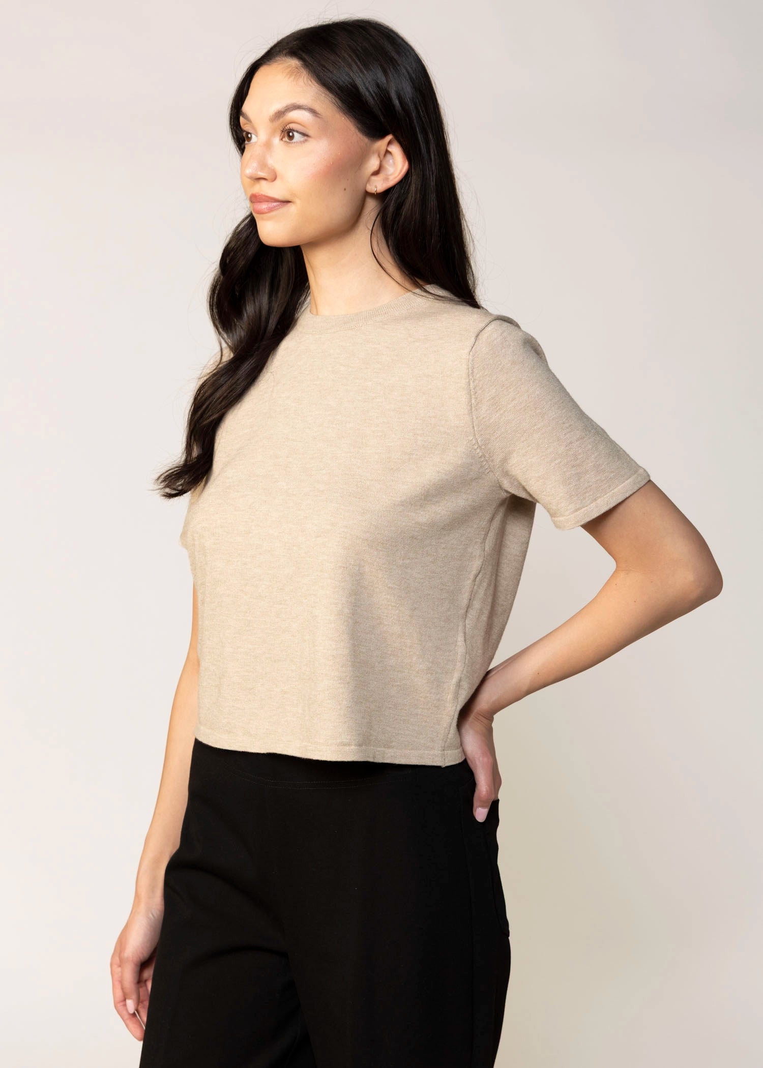 swatch_Oat stitches and stripes otis knit short sleeve