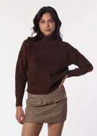 swatch_Brown louis turtleneck sweater