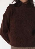 swatch_Brown louis turtleneck sweater