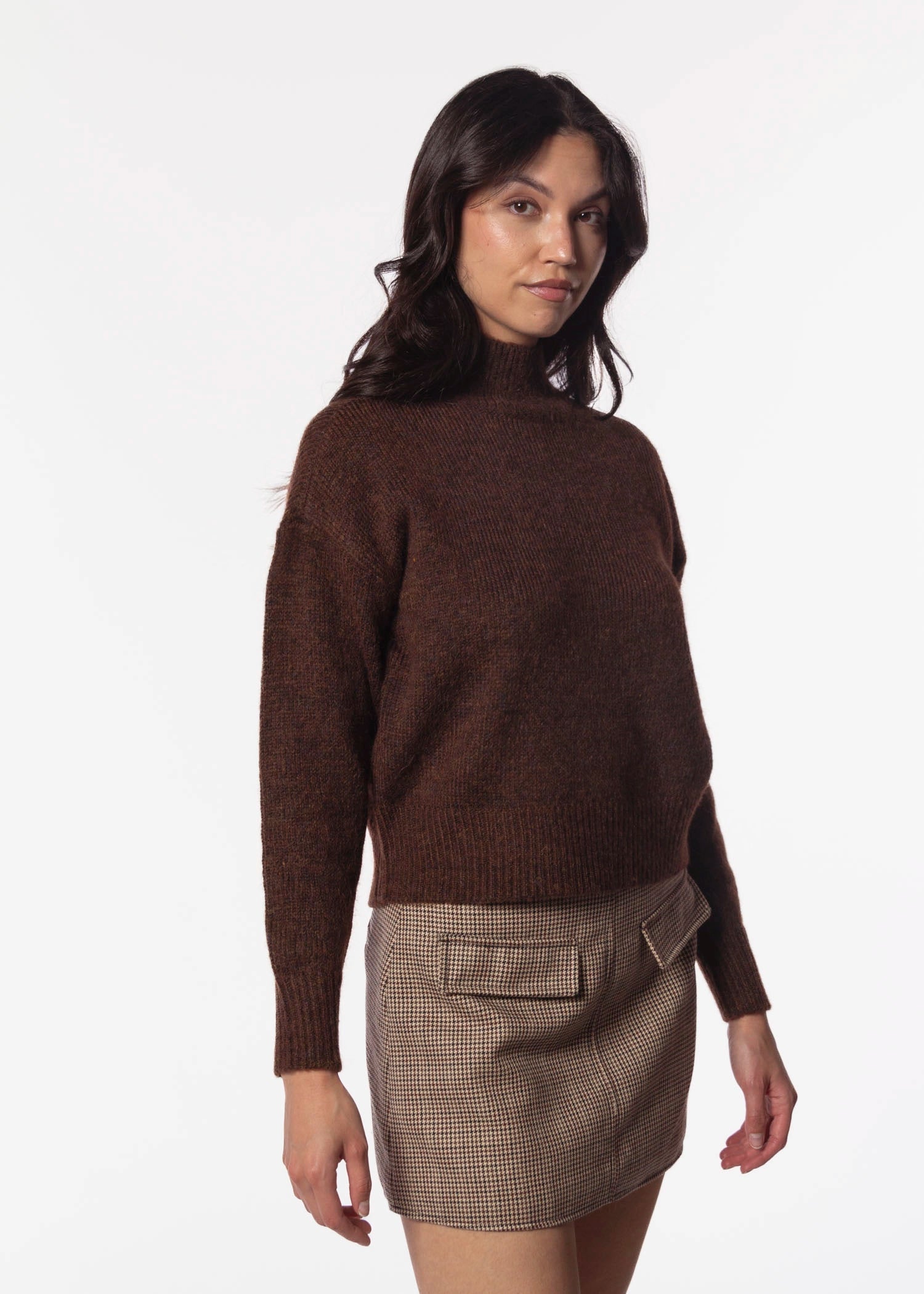 swatch_Brown louis turtleneck sweater
