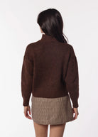 swatch_Brown louis turtleneck sweater