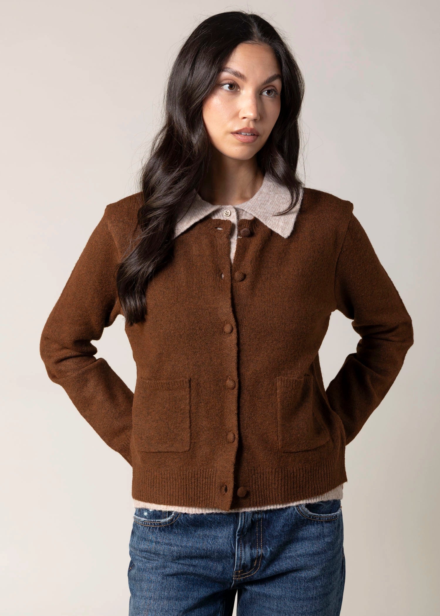 swatch_Chocolate blank nyc closer together sweater
