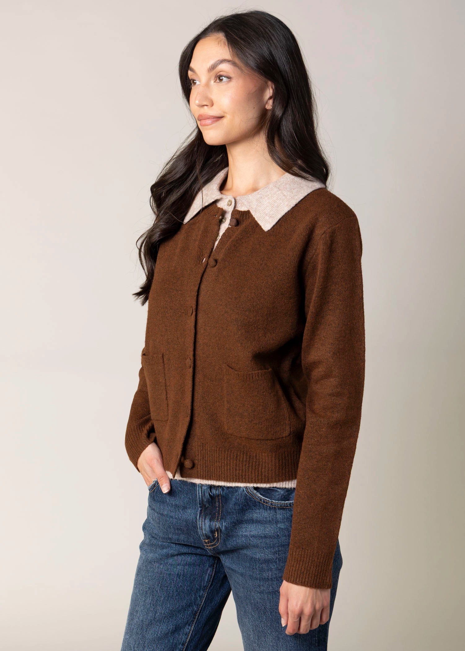 swatch_Chocolate blank nyc closer together sweater