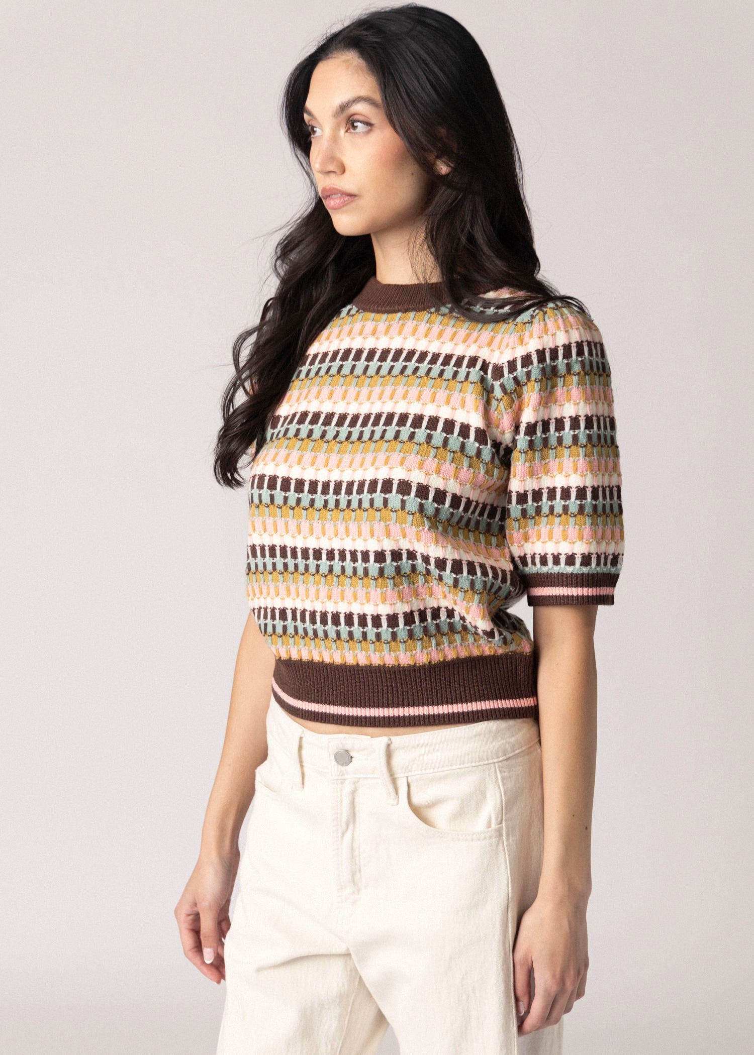 swatch_Brown Multi thml striped short sleeve sweater