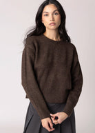 swatch_Chocolate john and jenn wilfred sweater