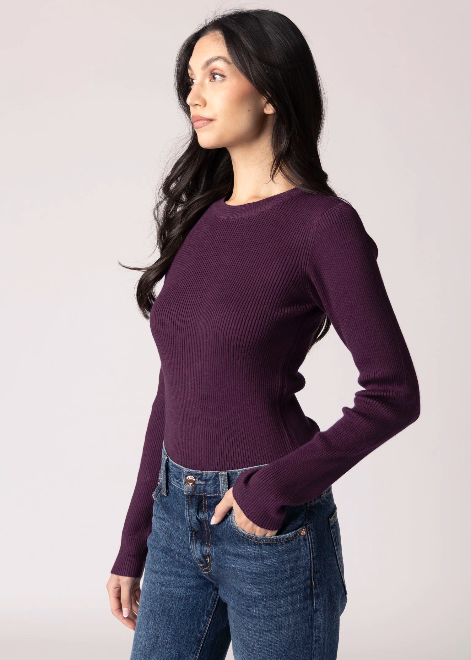 swatch_Eggplant long sleeve ribbed sweater