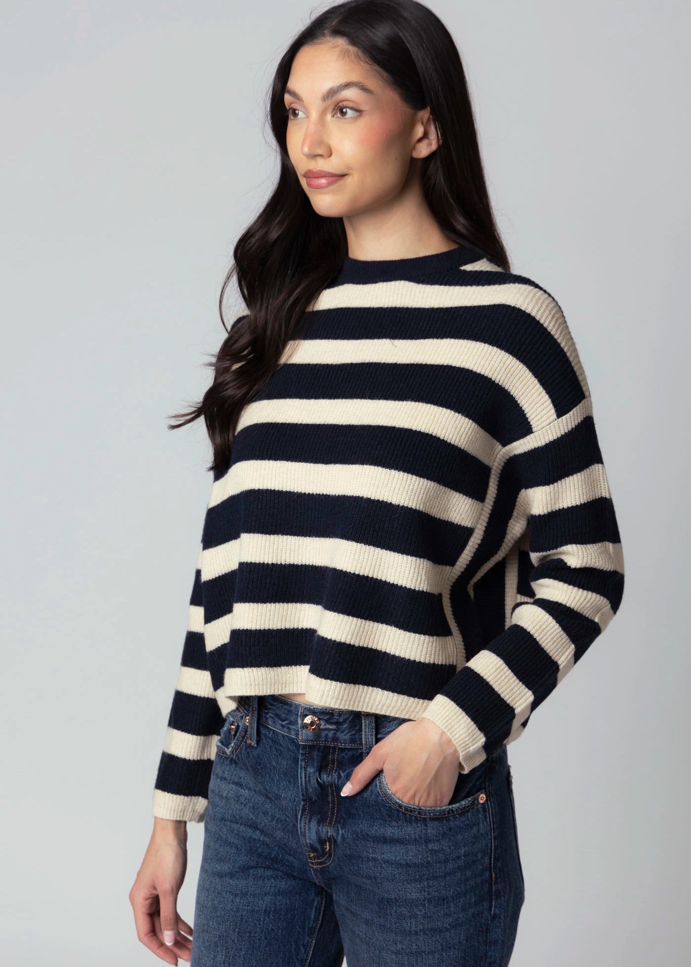 swatch_Navy/Beige rd style maheen striped sweater